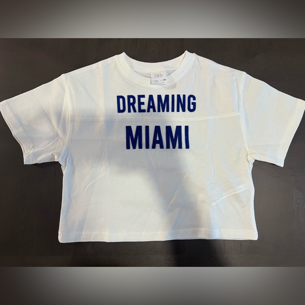 NWOT Zara Flocked Text Tshirt